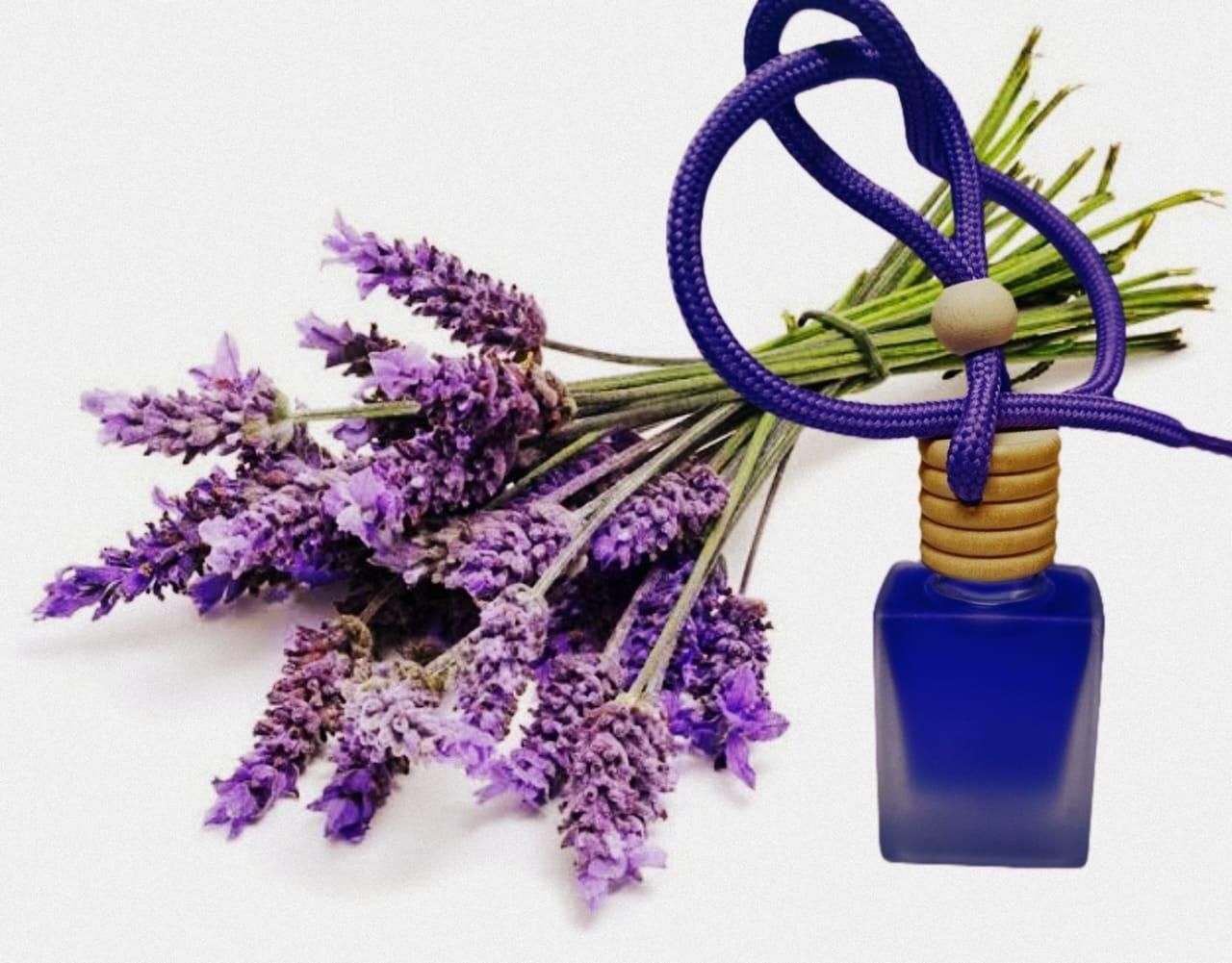 Hanging Car Perfume Pods Diffuser Scent - Assorted Fragrance (Pack of 1 )